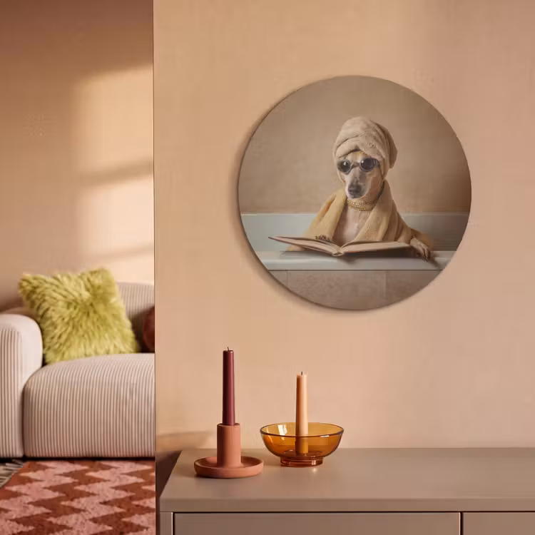 Akoestisch schilderij rond - Bad - Hond - Boek - Zonnebril — 3
