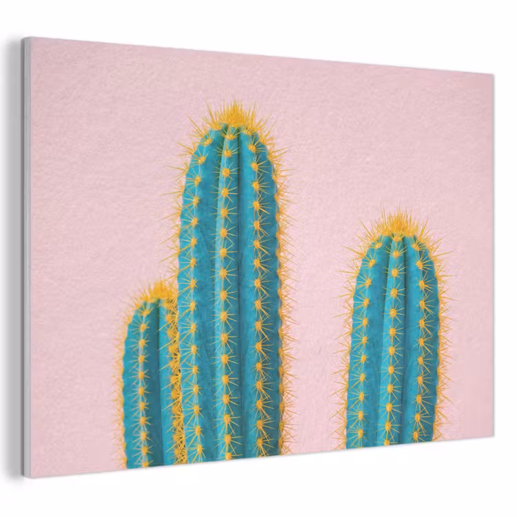 Akoestisch schilderij - Cactussen - Modern - Pastel — 1