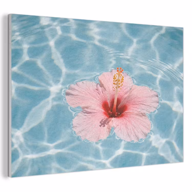 Akoestisch schilderij - Hibiscus - Water - Roze — 1