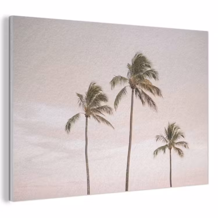 Akoestisch schilderij - Palmbomen - Zonsondergang - Roze — 1