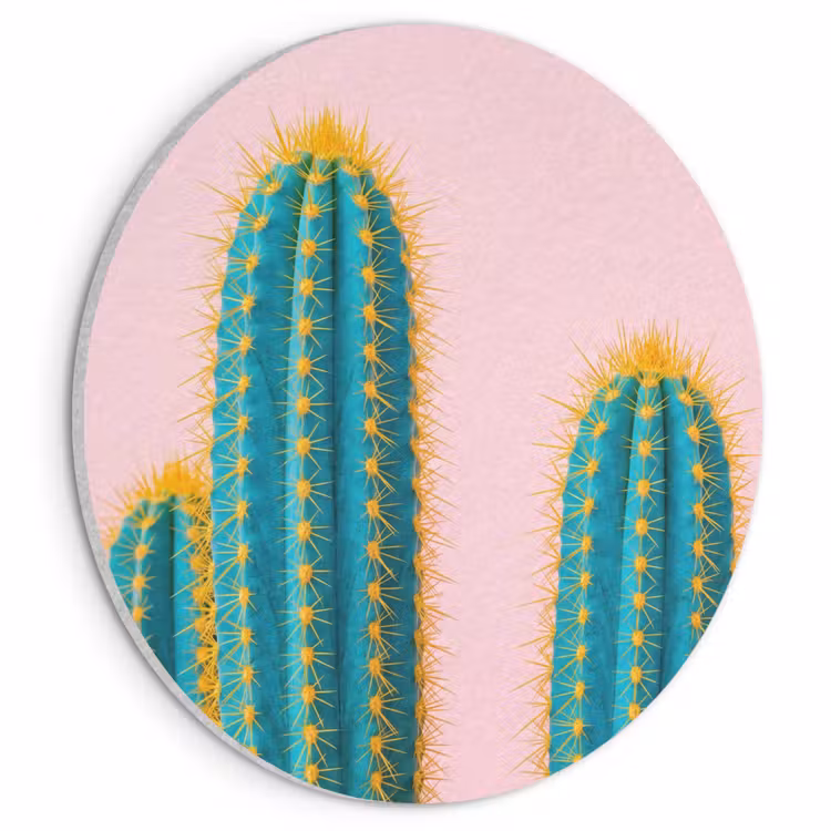 Akoestisch schilderij rond - Cactussen - Modern - Pastel — 1