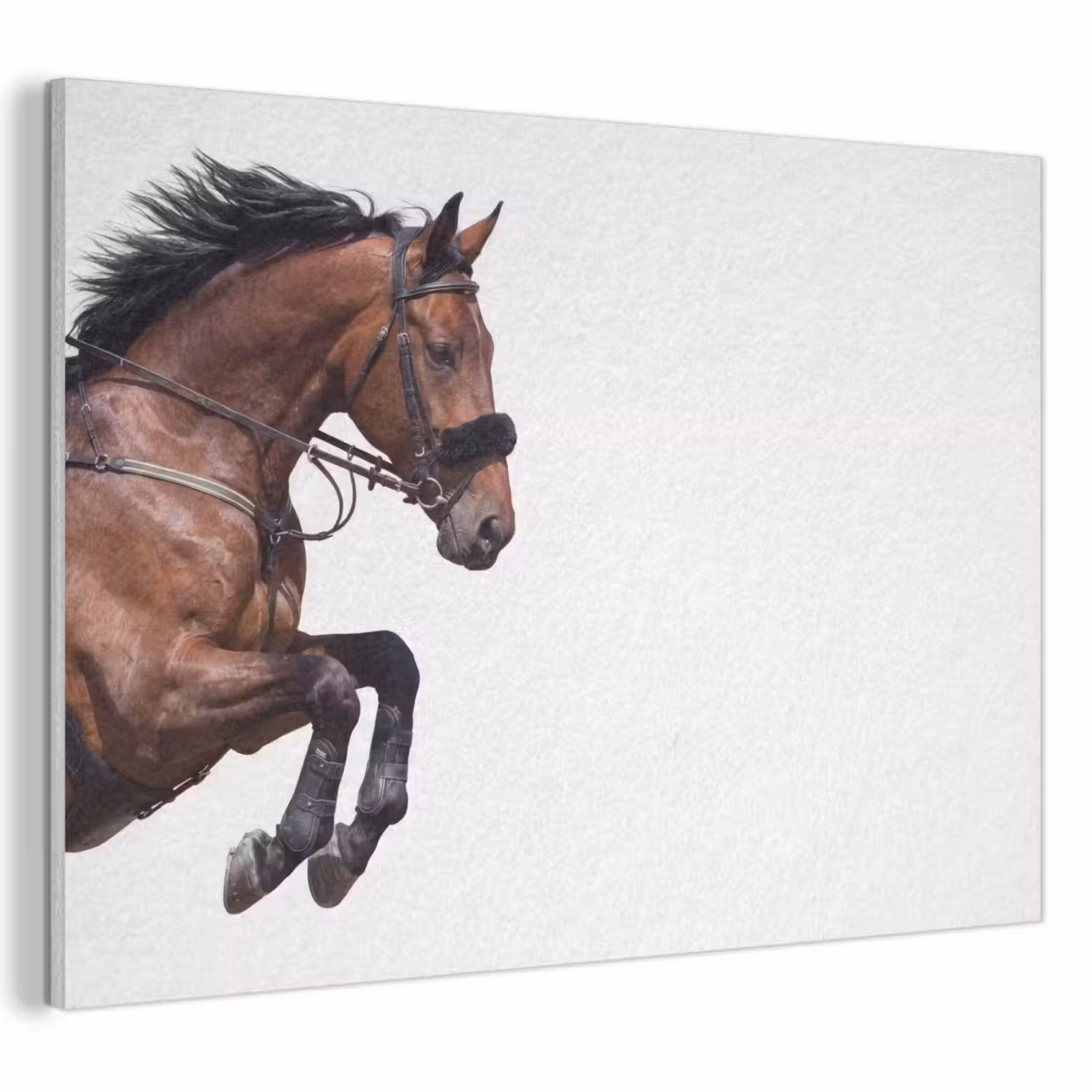 Akoestisch schilderij - Paard - Springen - Modern — 1