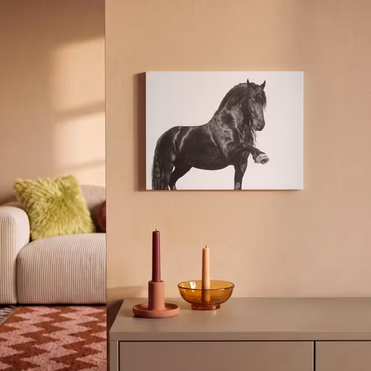 Akoestisch schilderij - Fries - Hengst - Modern — 2