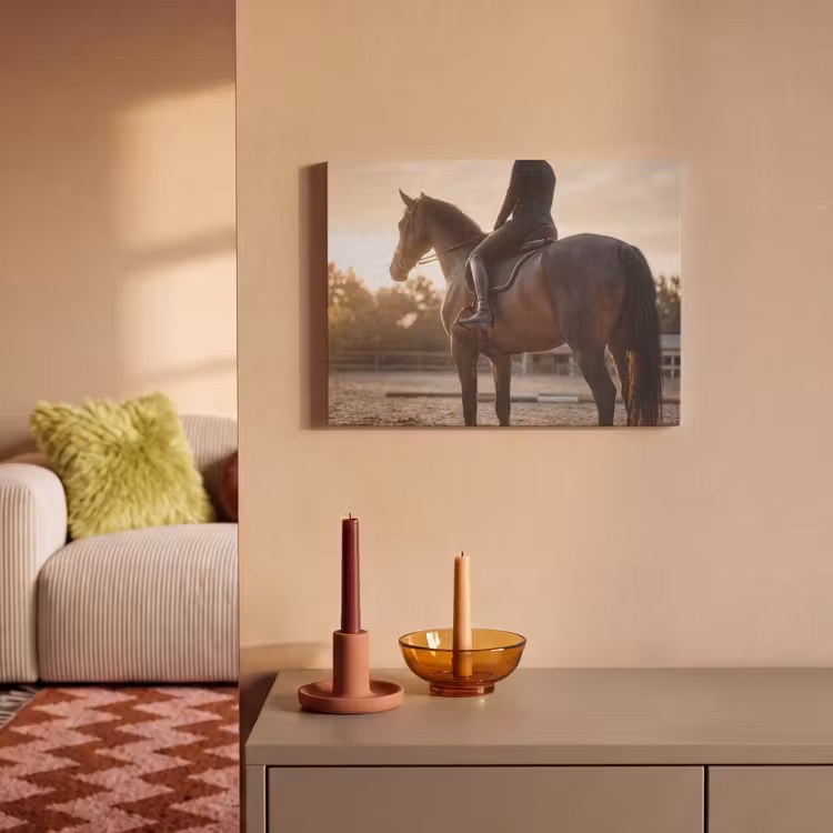 Akoestisch schilderij - Harmonie - Ruiter - Zon — 2