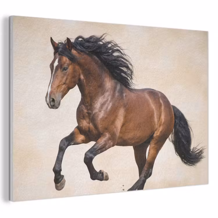 Akoestisch schilderij - Paard - Galop - Energie — 1