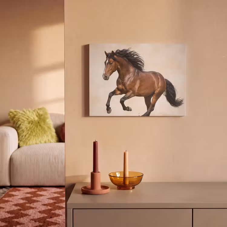 Akoestisch schilderij - Paard - Galop - Energie — 2