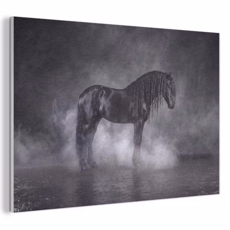 Akoestisch schilderij - Paard - Magisch - Zwart — 1