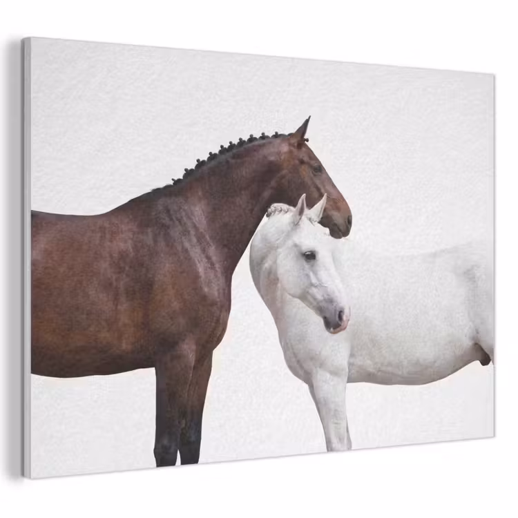 Akoestisch schilderij - Paard - Modern - Balans — 1