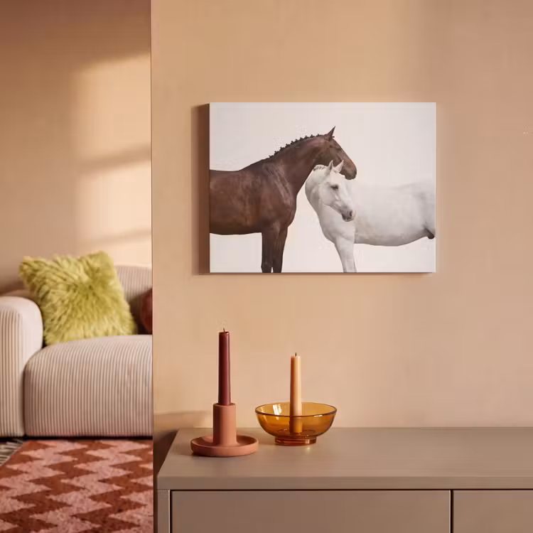 Akoestisch schilderij - Paard - Modern - Balans — 2