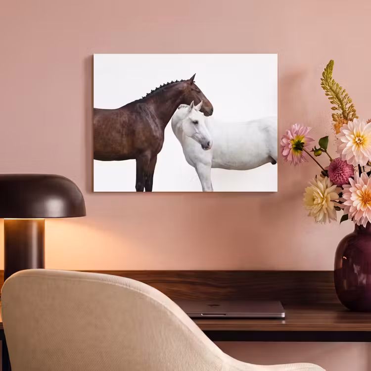 Akoestisch schilderij - Paard - Modern - Balans — 4