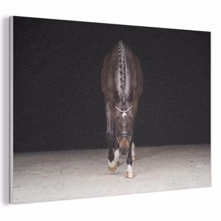 Akoestisch schilderij - Paard - Modern - Portret — 1