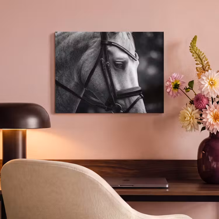 Akoestisch schilderij - Paard - Schimmel - Portret — 4
