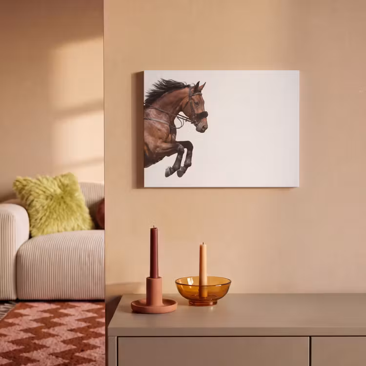 Akoestisch schilderij - Paard - Springen - Modern — 2