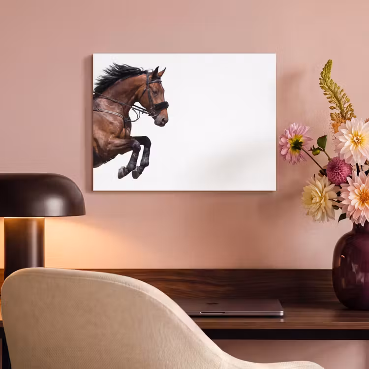 Akoestisch schilderij - Paard - Springen - Modern — 4