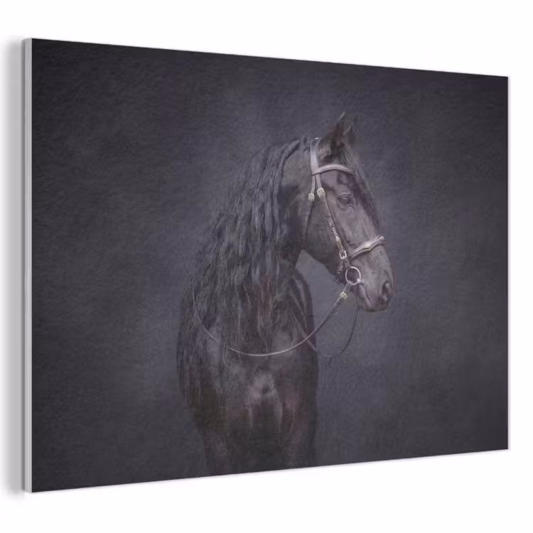 Akoestisch schilderij - Portret - Paard - Donker — 1