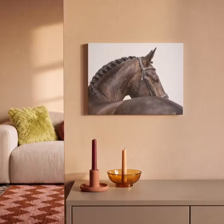Akoestisch schilderij - Portret - Paard - Elegant — 2