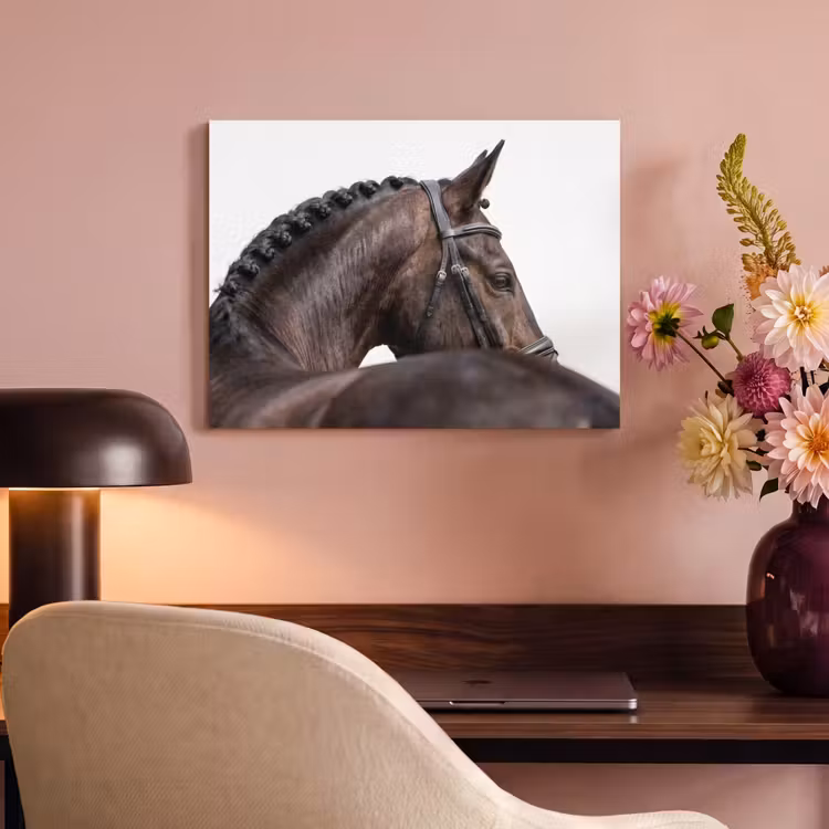 Akoestisch schilderij - Portret - Paard - Elegant — 4