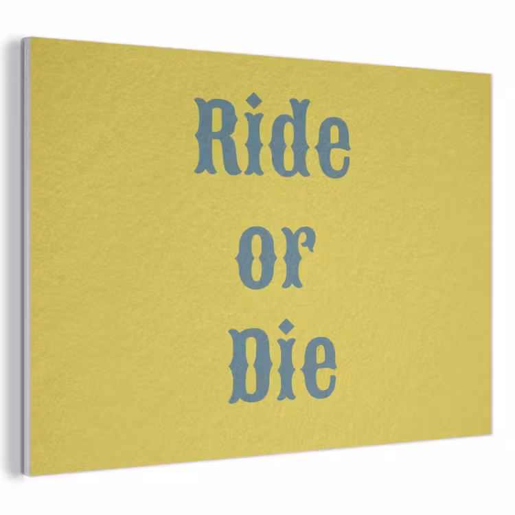 Akoestisch schilderij - Ride or die - Geel - Blauw — 1