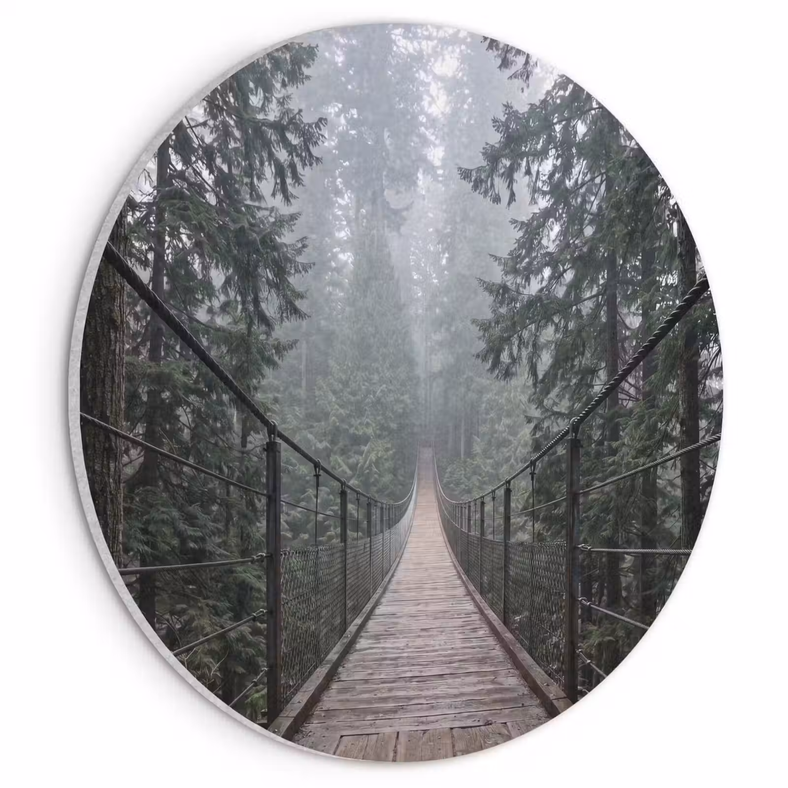 Akoestisch schilderij rond - Brug - Bos - Mist - Natuur — 1