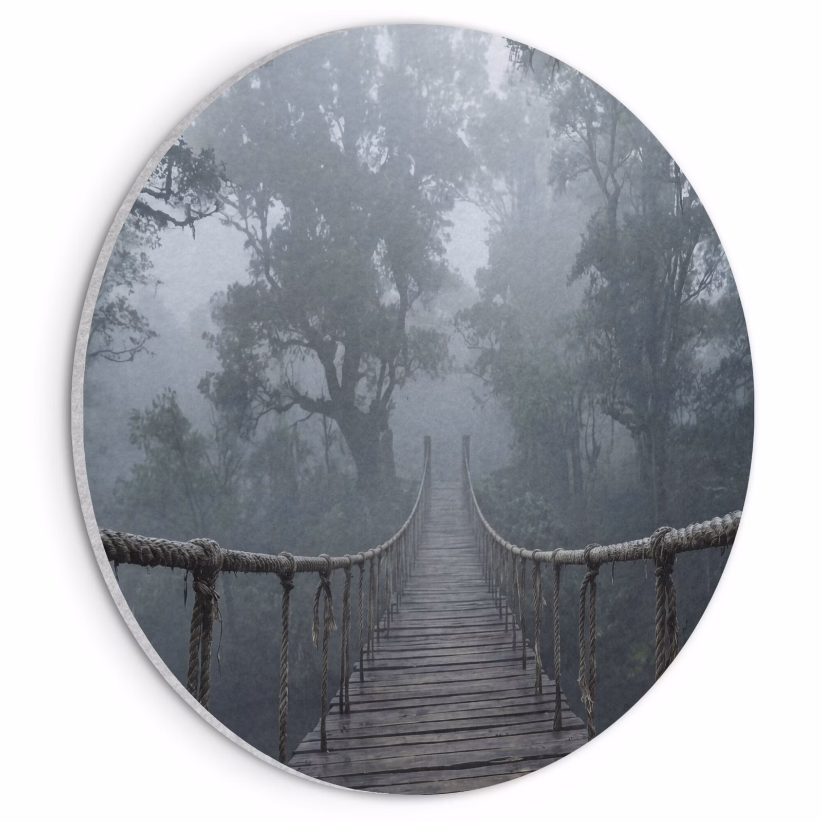 Akoestisch schilderij rond - Brug - Jungle - Mist - Natuur — 1