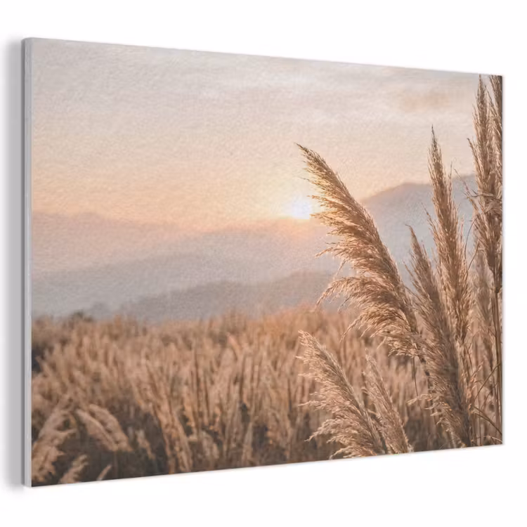 Akoestisch schilderij - Gras - Veld - Zon - Natuur — 1
