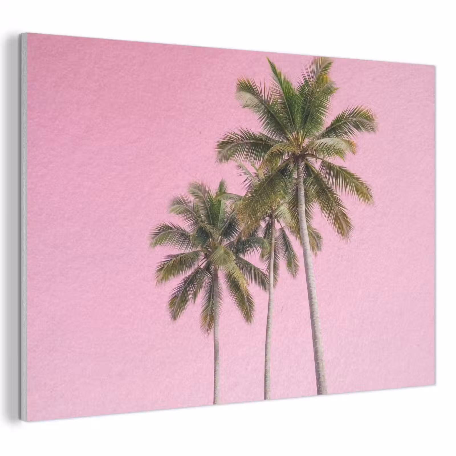 Akoestisch schilderij - Palmboom - Tropisch - Pink — 1