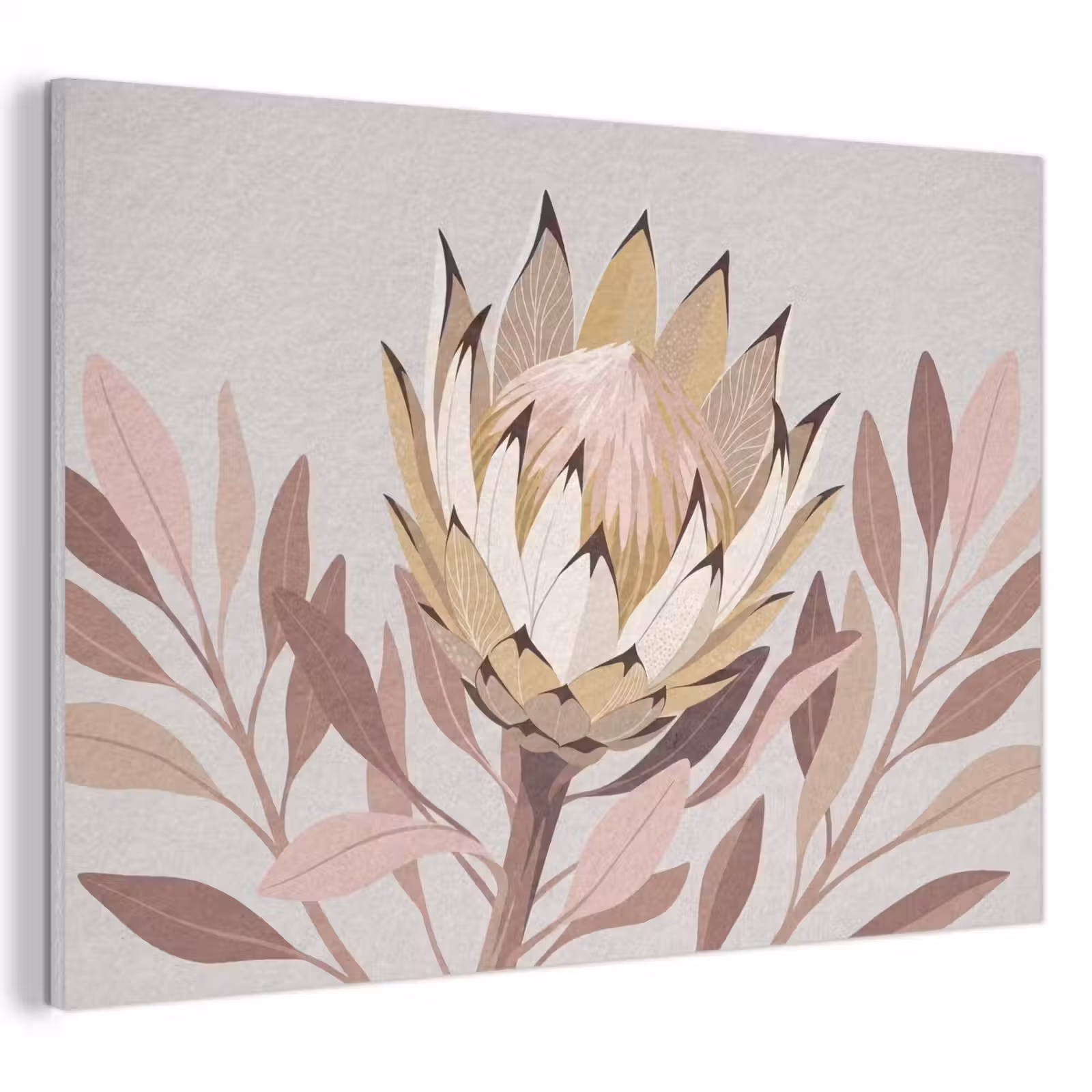 Akoestisch schilderij - Protea - Bloem - Botanisch - Beige — 1