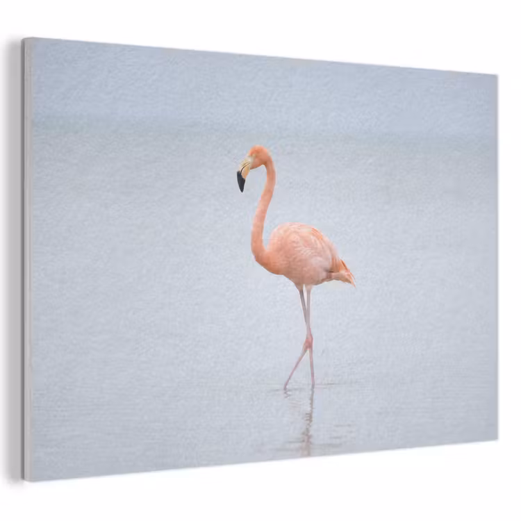 Akoestisch schilderij - Flamingo - Zee - Roze — 1