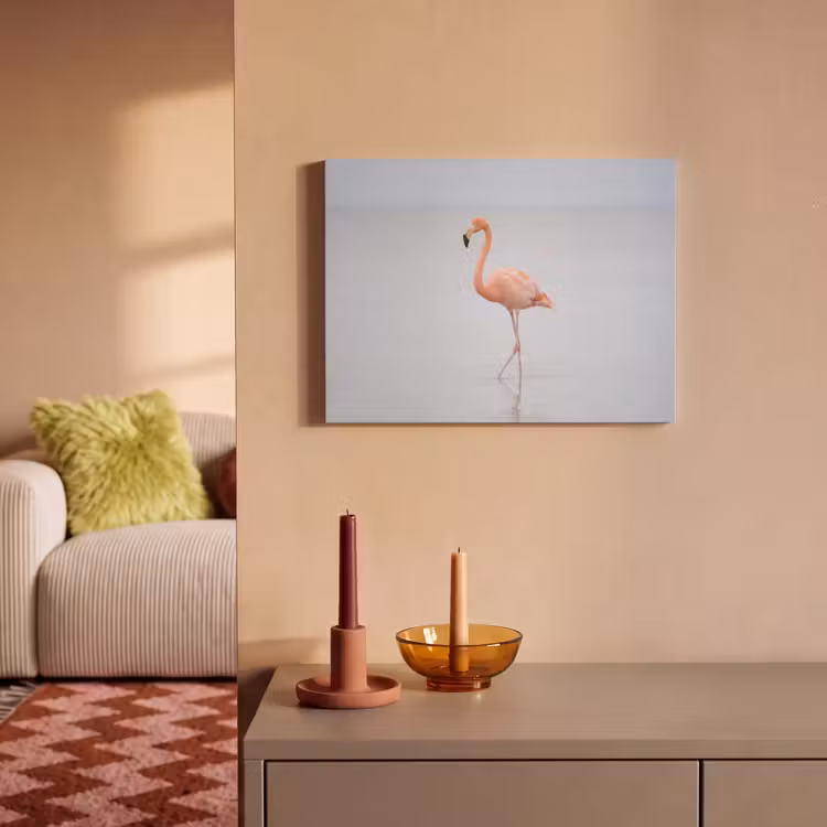 Akoestisch schilderij - Flamingo - Zee - Roze — 2