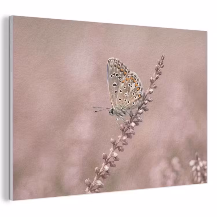 Akoestisch schilderij - Lavendel - Vlinder - Paars — 1