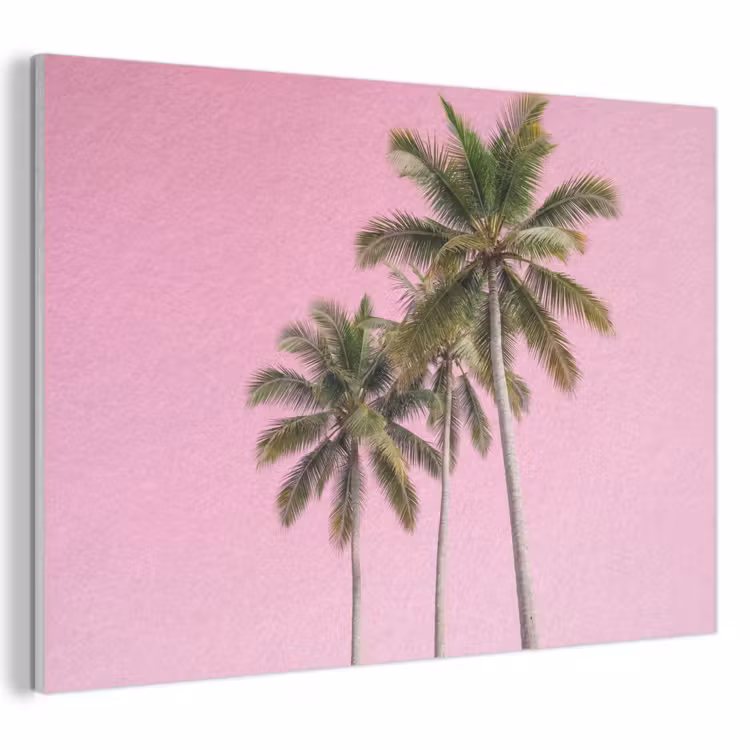 Akoestisch schilderij - Palmboom - Tropisch - Pink — 1