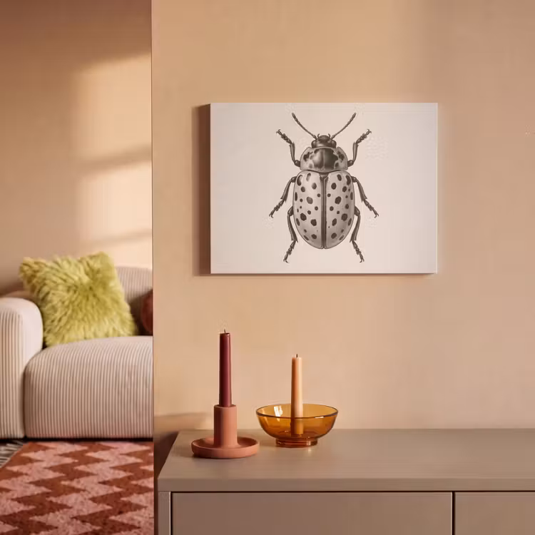 Akoestisch schilderij - Kever - Insect - Vintage — 2