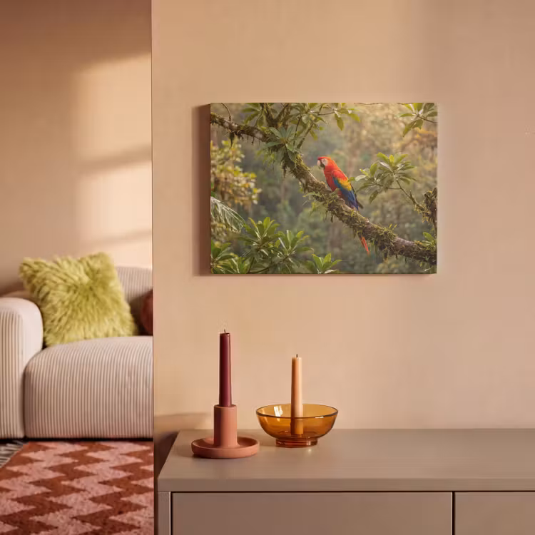 Akoestisch schilderij - Ara - Jungle - Rood — 2