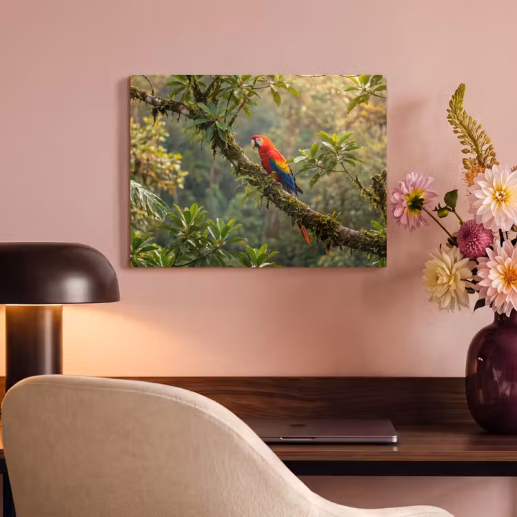 Akoestisch schilderij - Ara - Jungle - Rood — 4