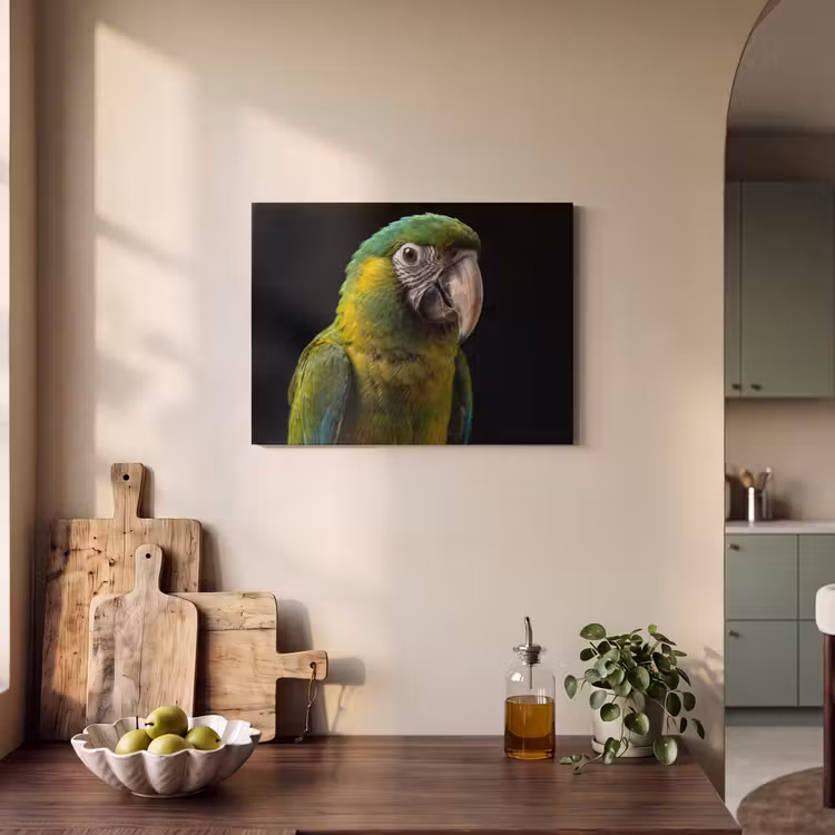 Akoestisch schilderij - Ara - Portret - Groen — 3