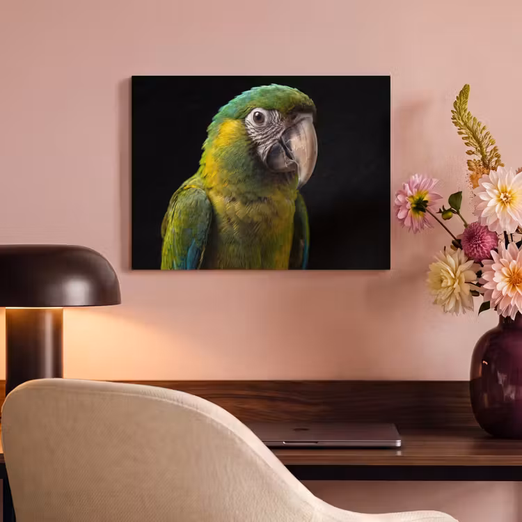 Akoestisch schilderij - Ara - Portret - Groen — 4
