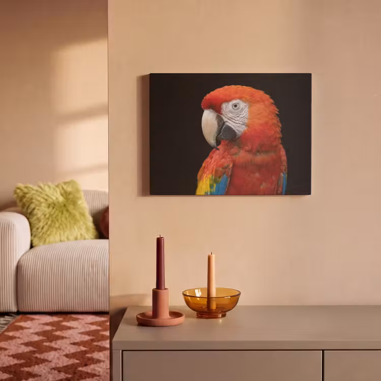 Akoestisch schilderij - Ara - Portret - Rood — 2