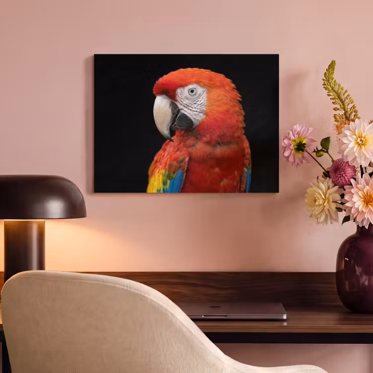 Akoestisch schilderij - Ara - Portret - Rood — 4