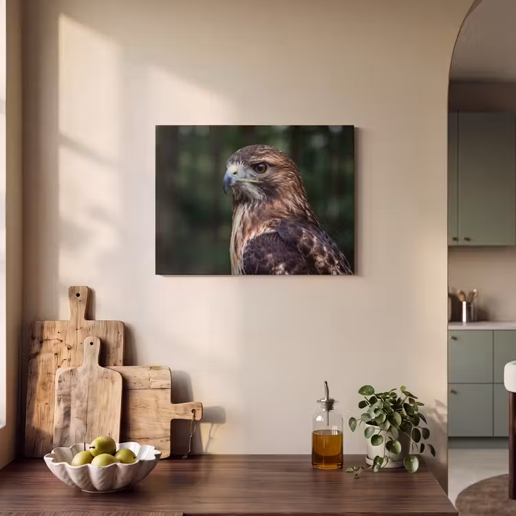 Akoestisch schilderij - Buizerd - Roofvogel - Natuur - Bruin — 3