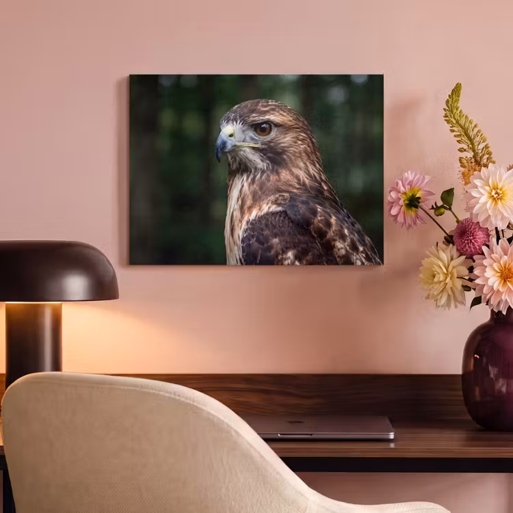 Akoestisch schilderij - Buizerd - Roofvogel - Natuur - Bruin — 4