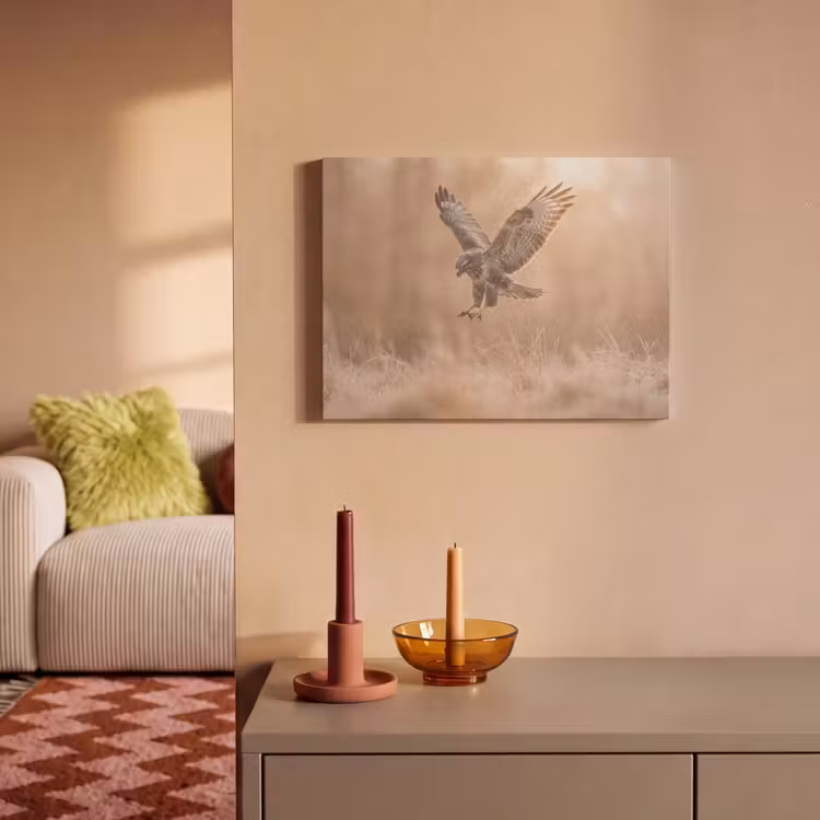 Akoestisch schilderij - Buizerd - Roofvogel - Natuur - Bruin — 2
