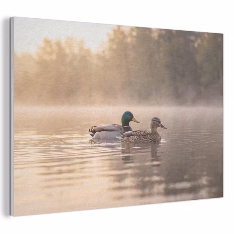 Akoestisch schilderij - Eenden - Water - Mist - Natuur — 1