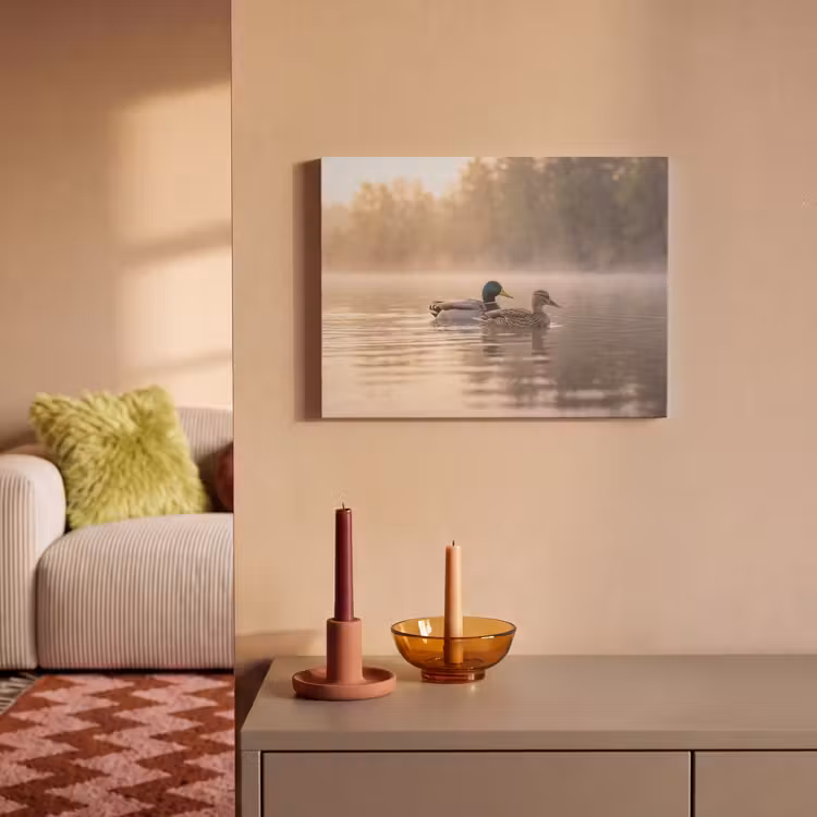 Akoestisch schilderij - Eenden - Water - Mist - Natuur — 2