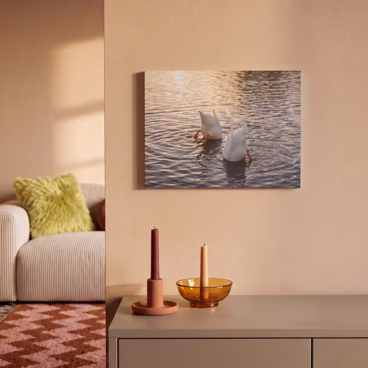 Akoestisch schilderij - Eenden - Water - Natuur — 2