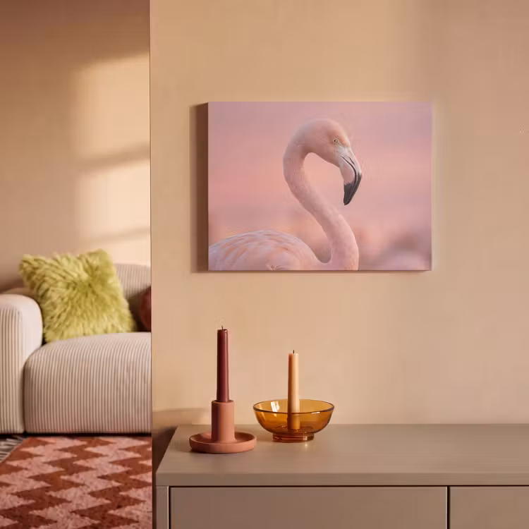 Akoestisch schilderij - Flamingo - Portret - Roze — 2
