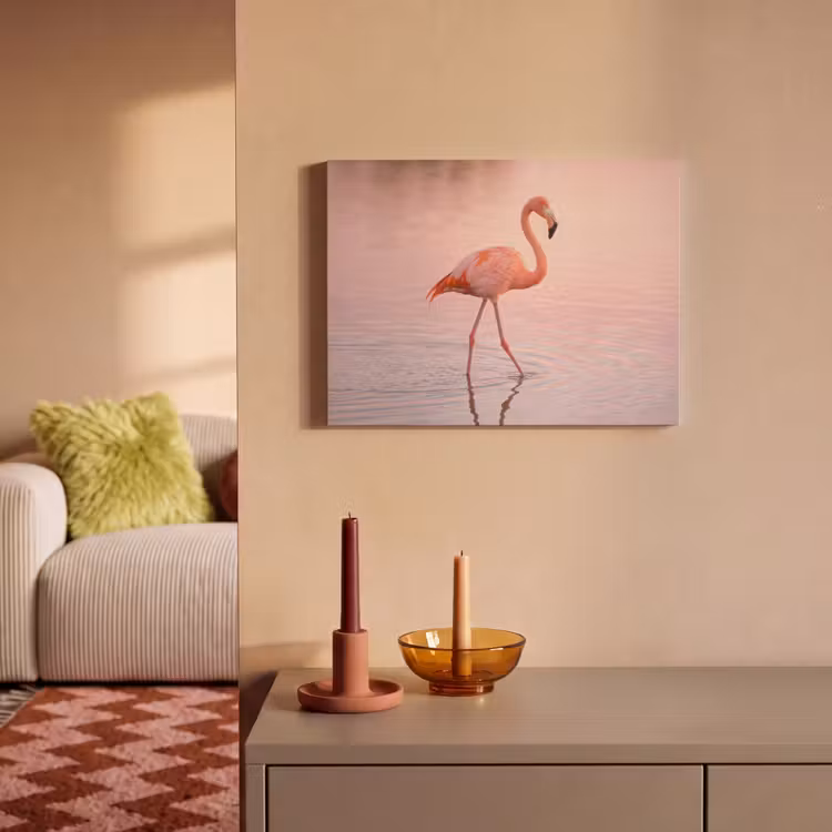 Akoestisch schilderij - Flamingo - Water - Roze — 2