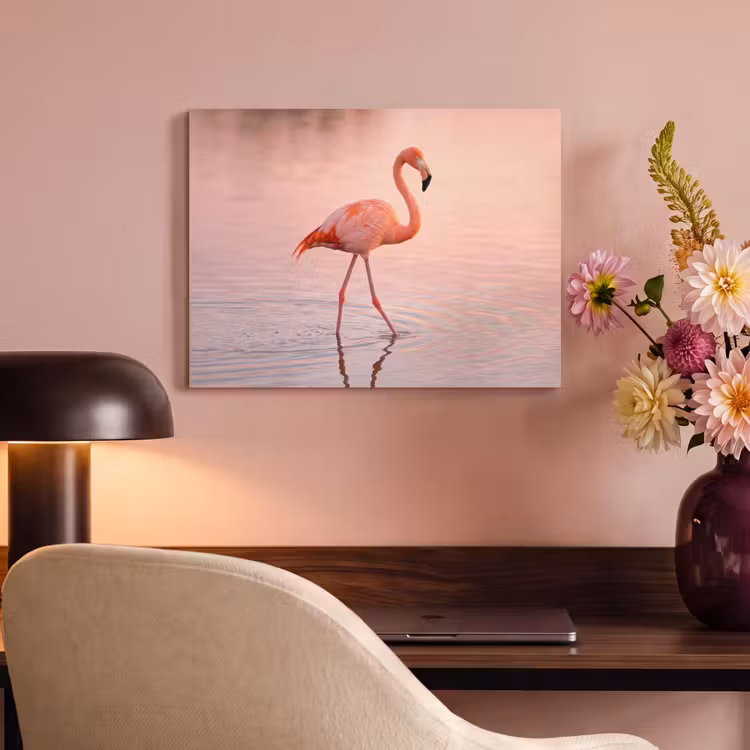 Akoestisch schilderij - Flamingo - Water - Roze — 4