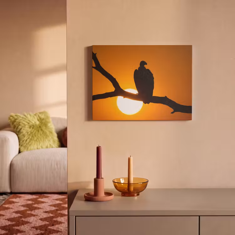 Akoestisch schilderij - Gier - Tak - Zon - Oranje — 2
