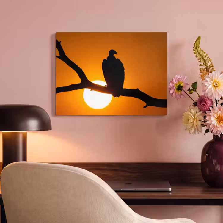 Akoestisch schilderij - Gier - Tak - Zon - Oranje — 4