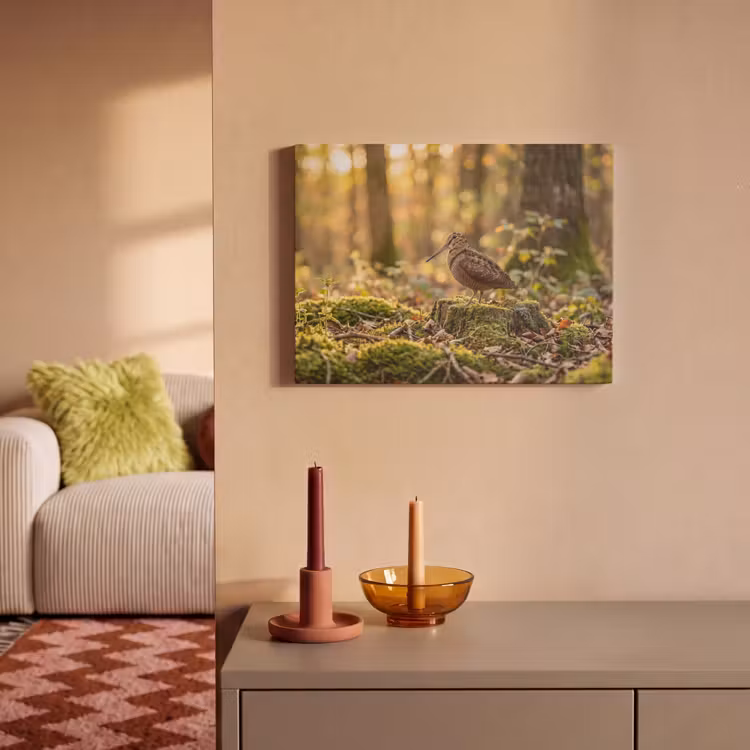 Akoestisch schilderij - Houtsnip - Bos - Bladeren - Herfst - Gecamoufleerd — 2
